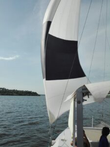 shkval11