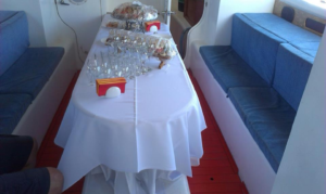 viltor5